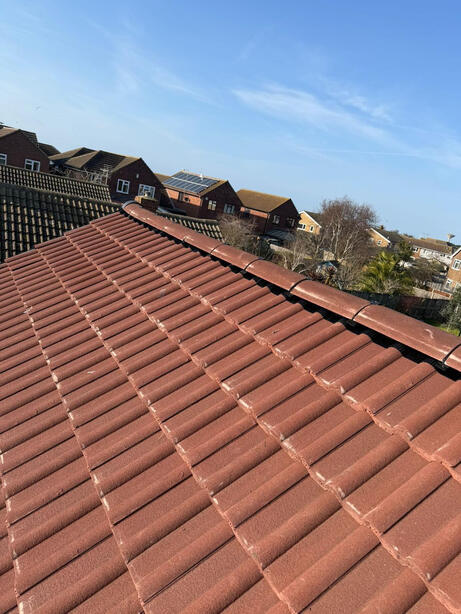Roof Restoration Project
